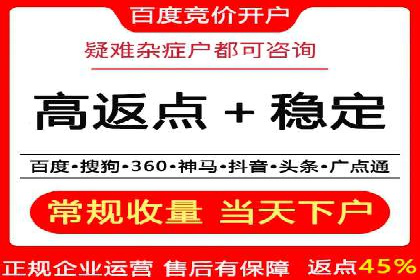 某品牌SEM广告的蜕变——代运营公司的力量